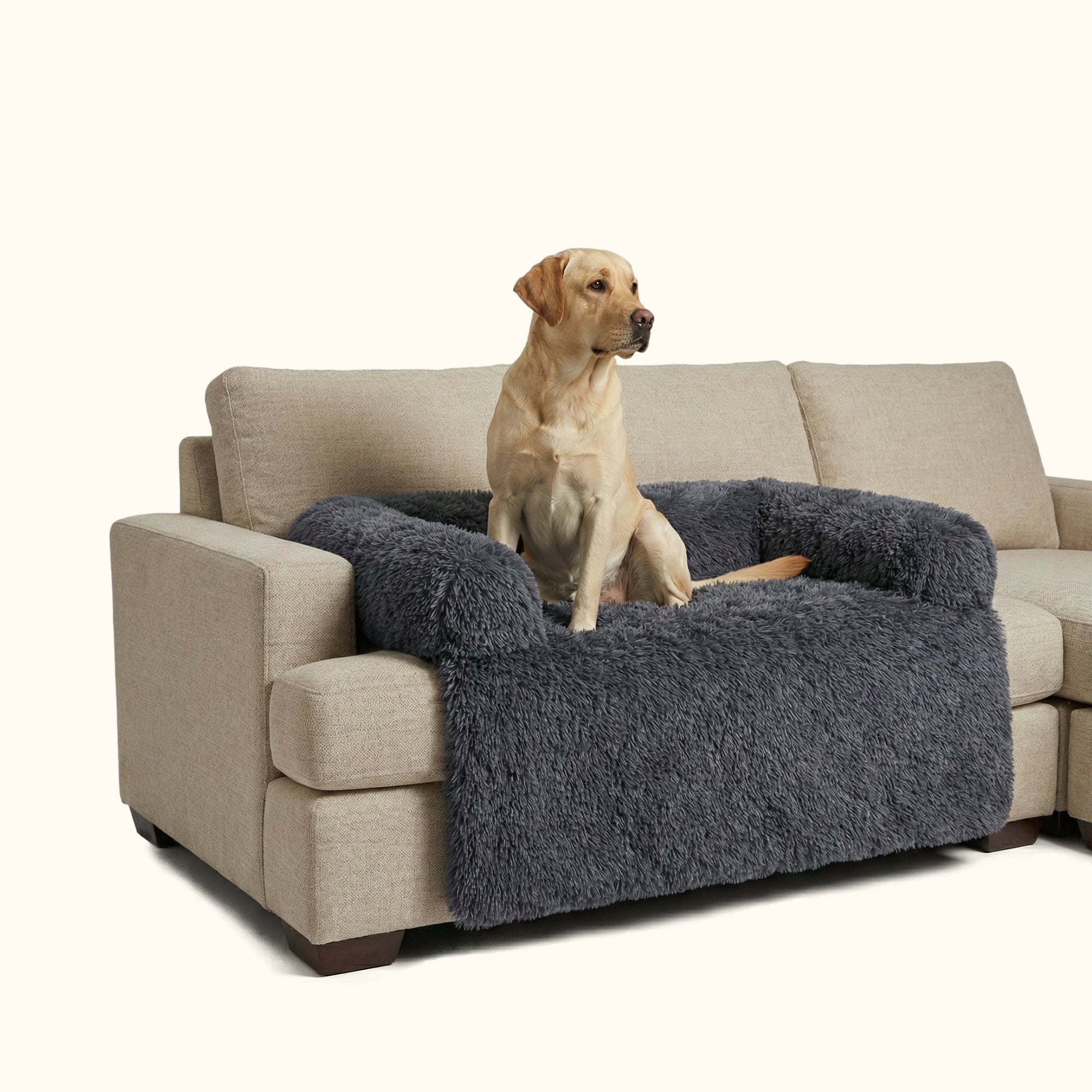 Hundebett & Schutzdecke für Hund und Sofa