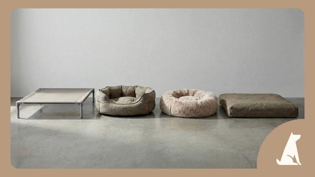 Guide : quel panier choisir selon mon chien ?