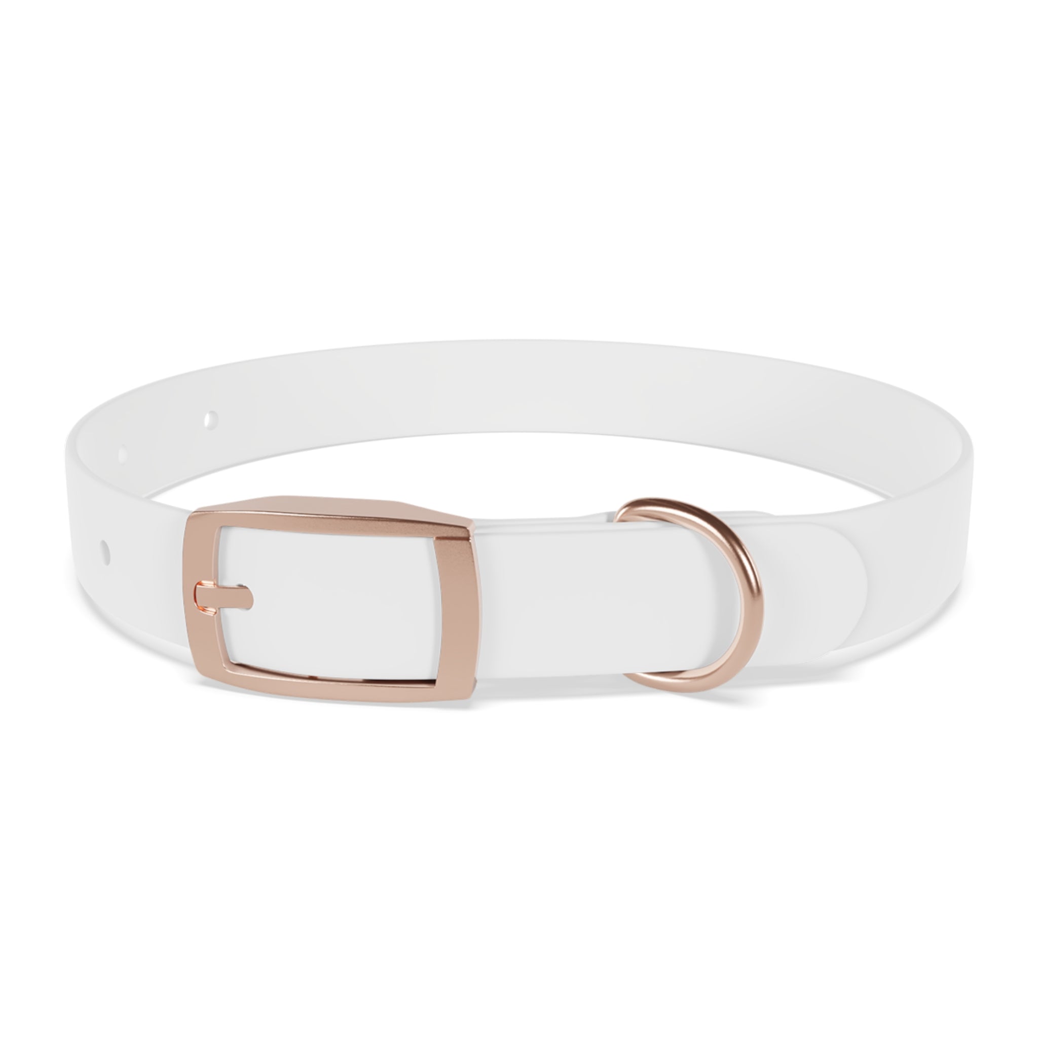Collier Chien personnalisable