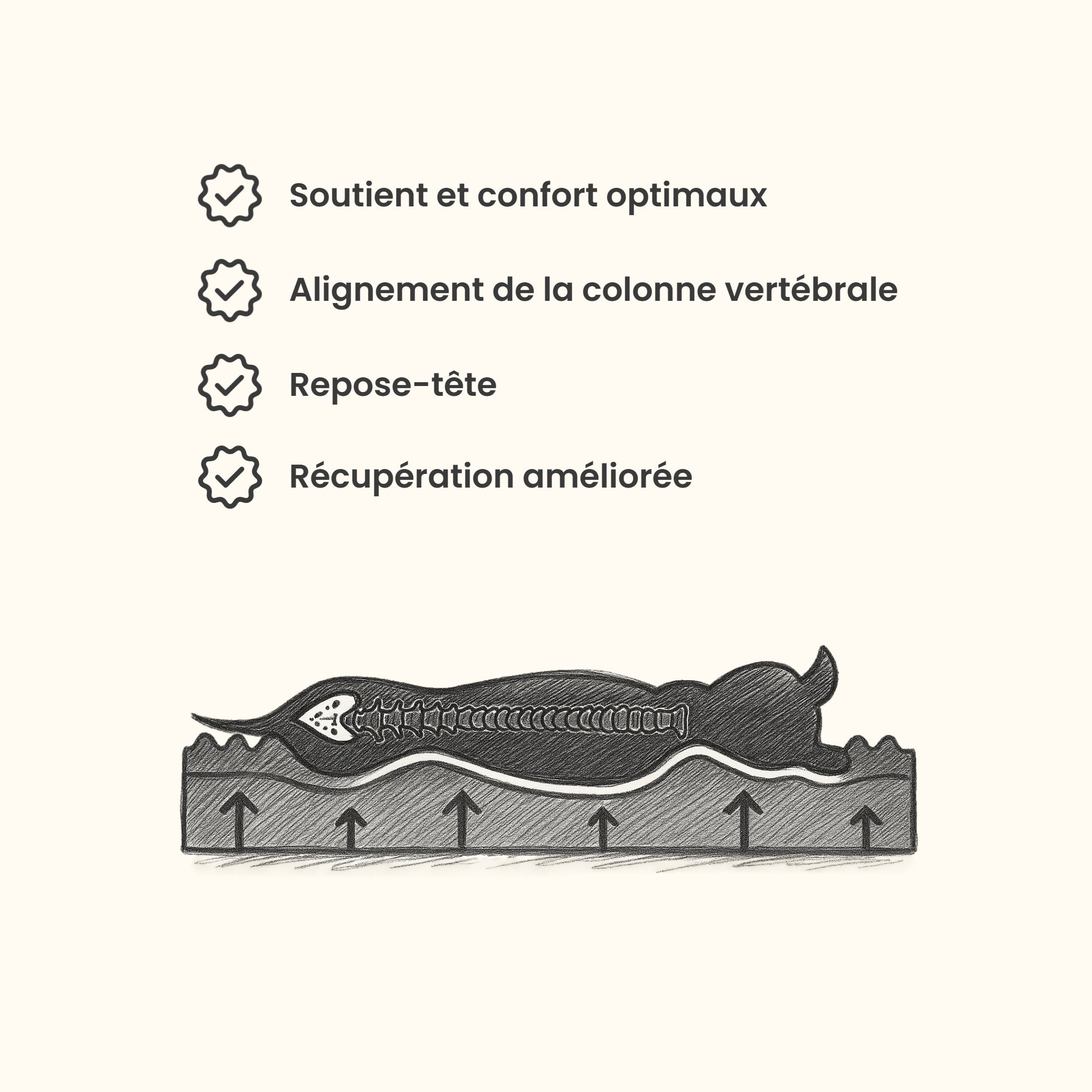 Panier chien à mémoire de forme - Pampas