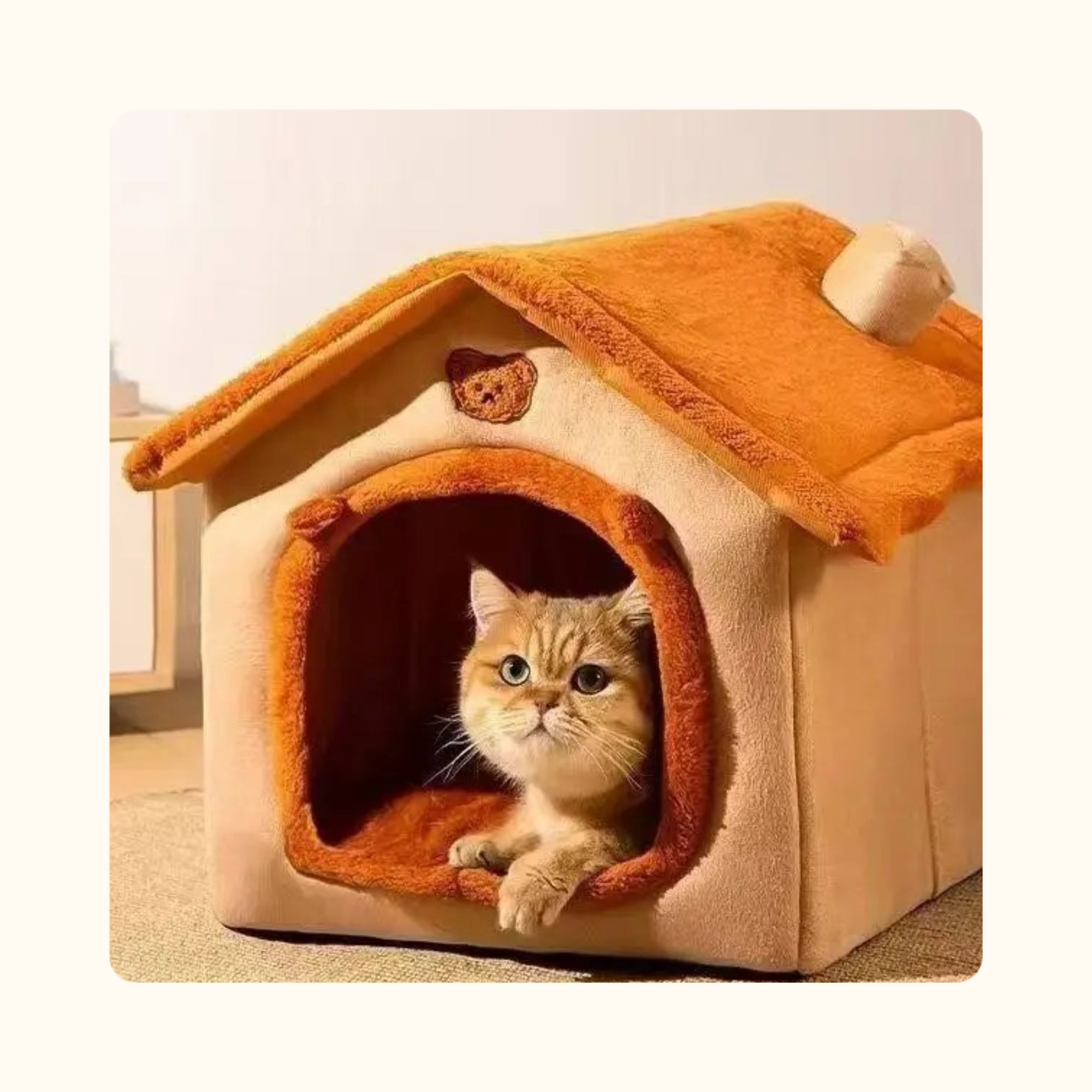 Chat se reposant dans une niche d’intérieur pour chat