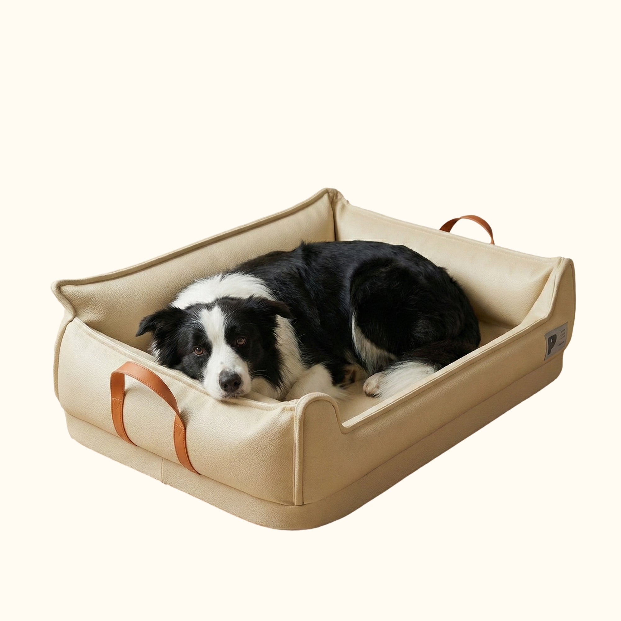 Border collie allongé dans un panier orthopédique imperméable blanc