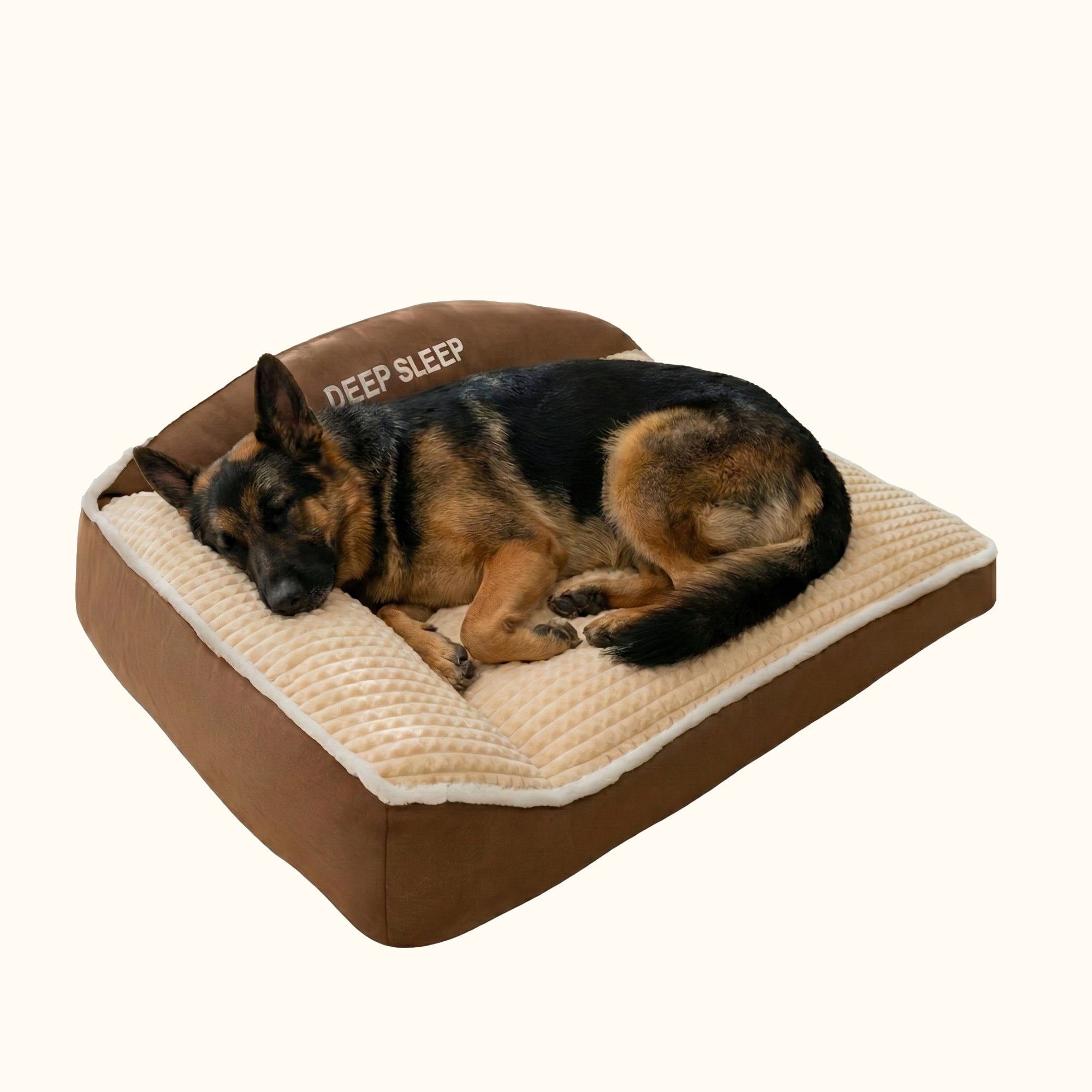 Berger Allemand se reposant dans son panier à matelas épais