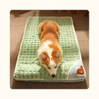 Chien allongé dans son panier vert