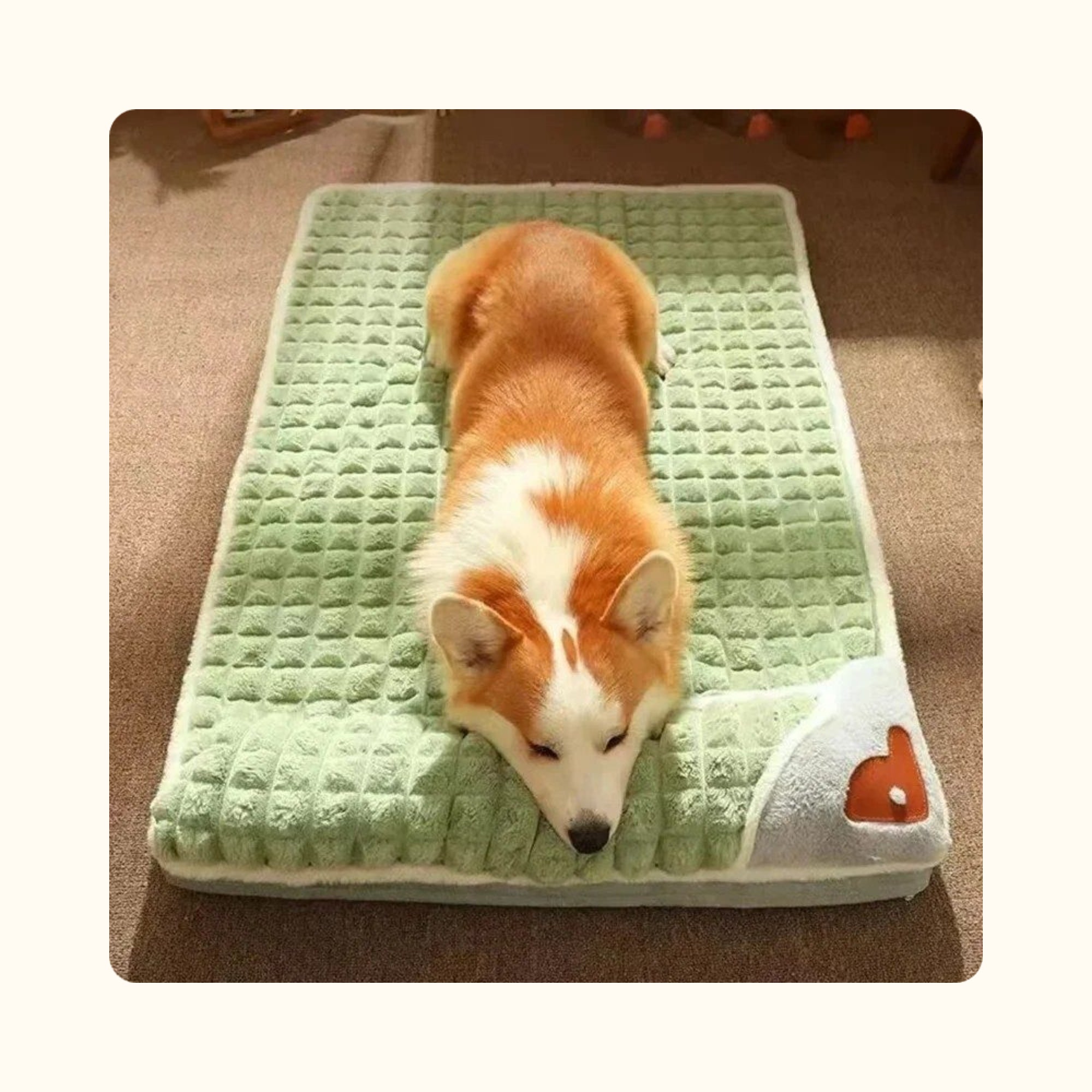 Chien allongé dans son panier vert