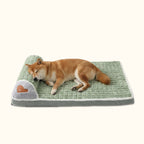 Chien shiba inu allongé sur un panier orthopédique à mémoire de forme vert