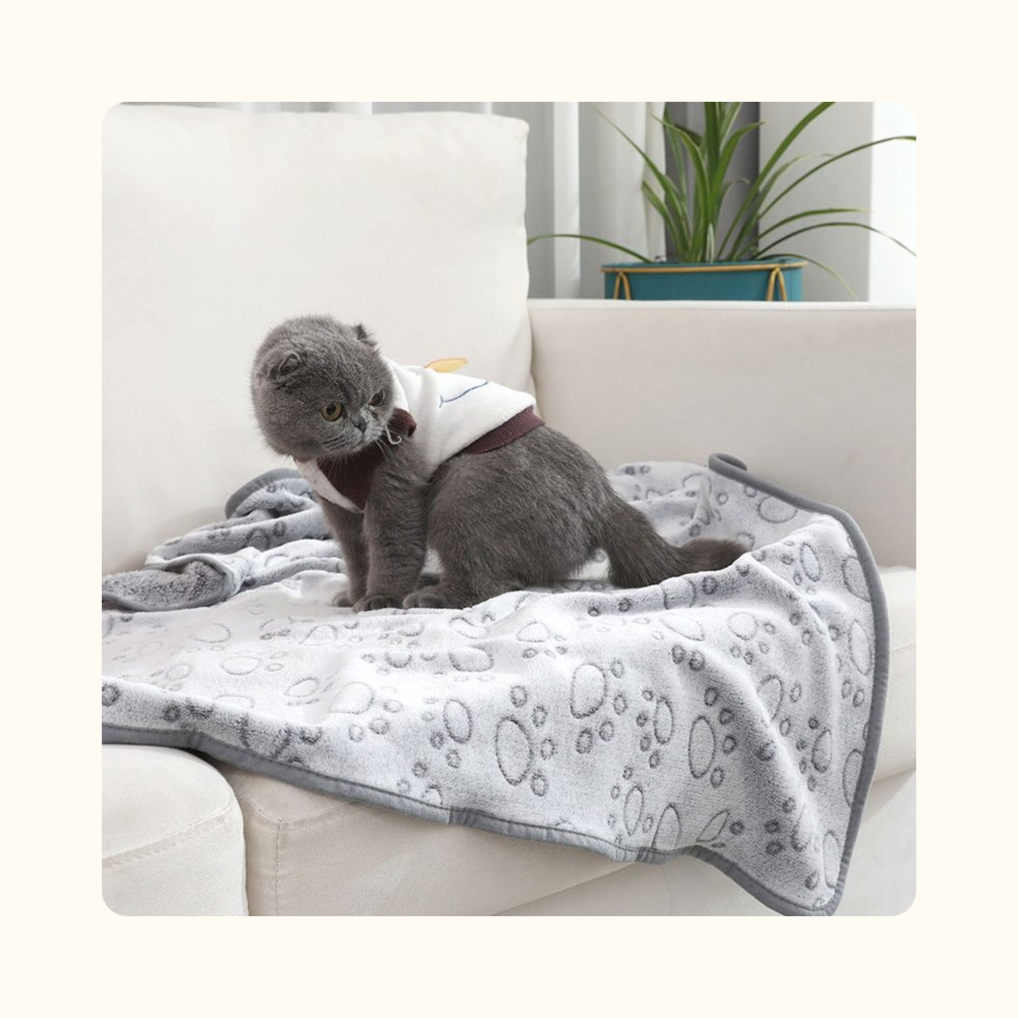 Couverture cocon - pour chien & chat