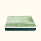 Matelas orthopédique vert pour chien