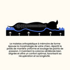 Doux nuage - lit orthopédique