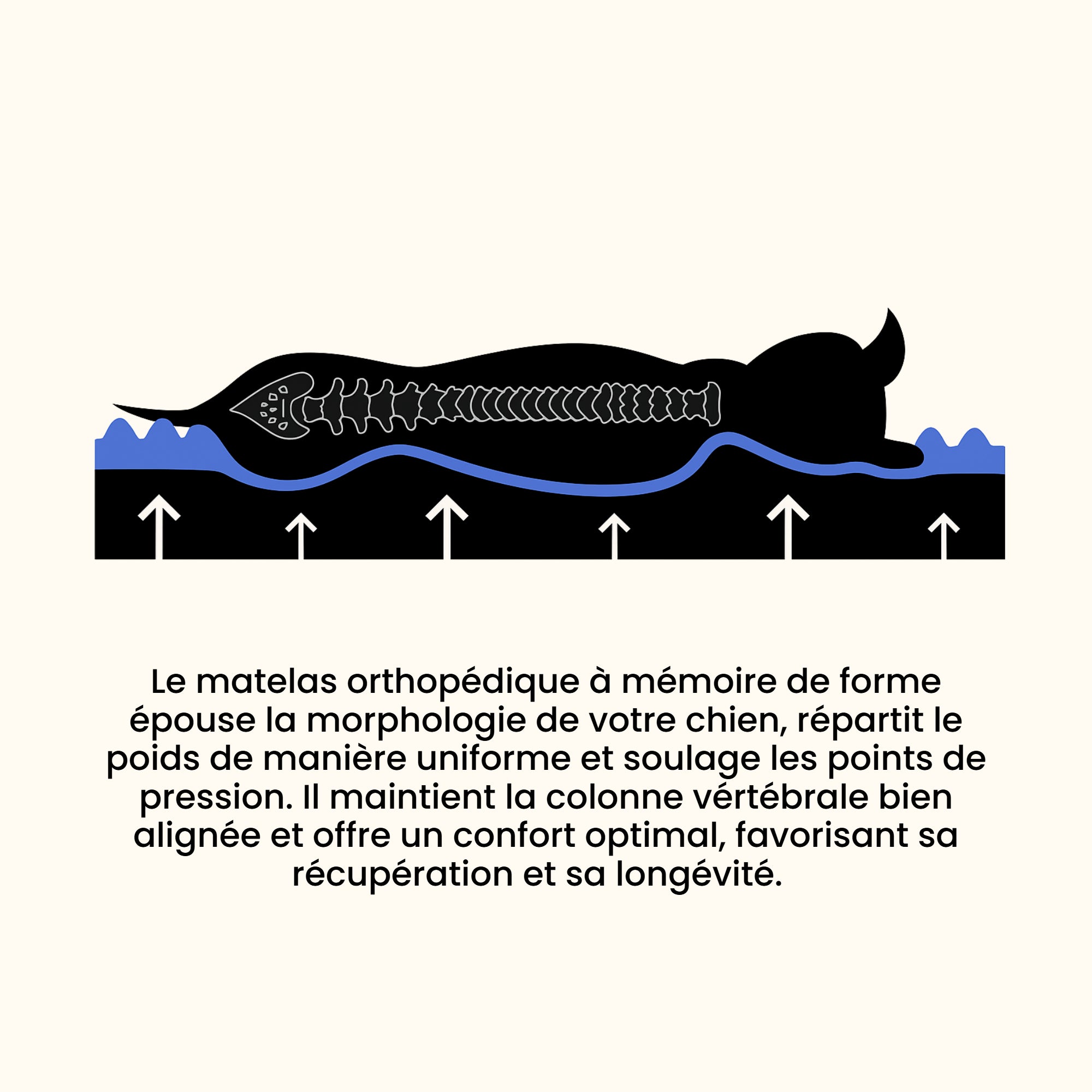 Doux nuage - lit orthopédique