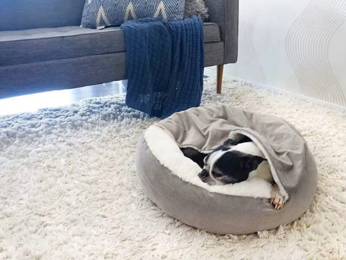 Chien noir et blanc endormi sous la couverture intégrée d'un panier apaisant rond gris, sur un tapis blanc