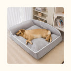 Golden retriever couché dans son épais panier gris de la marque fidely 